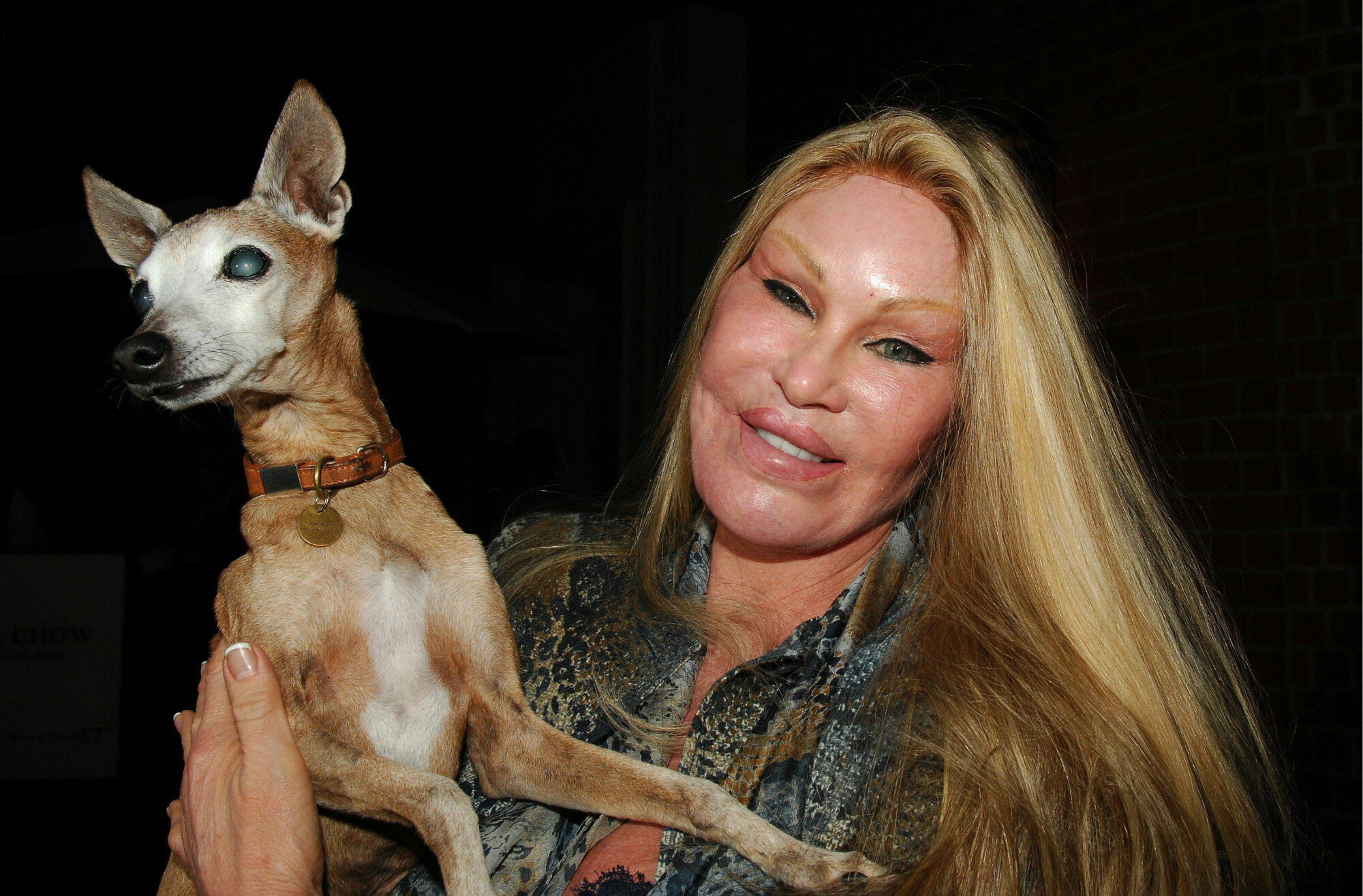 Jocelyn Wildenstein, znana jako „Kobieta Kot” ofiarą operacji plastycznych