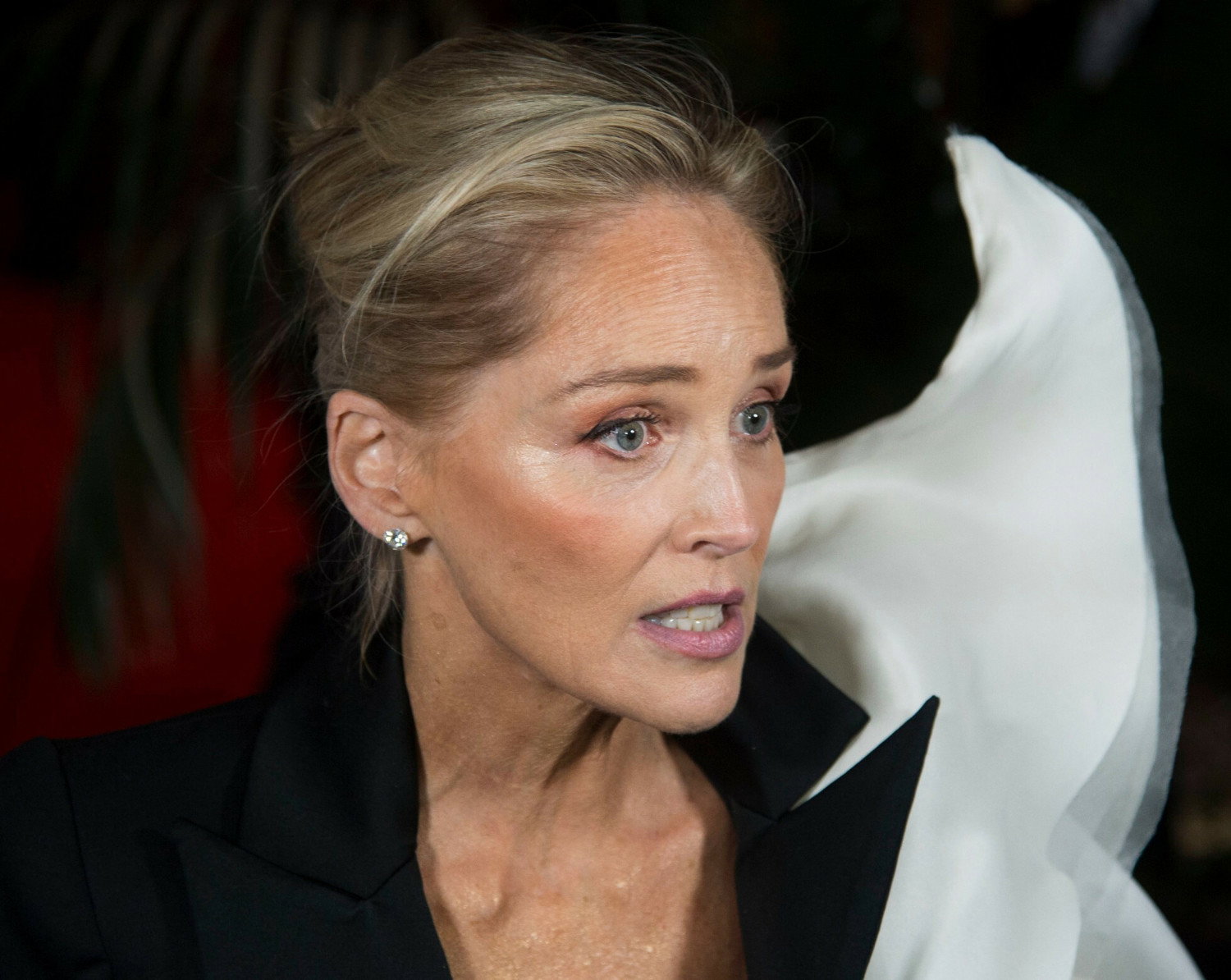 Sharon Stone wyznała, że dokonała aborcji w wieku 18 lat