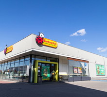 wygładzający puder matujący Biedronka