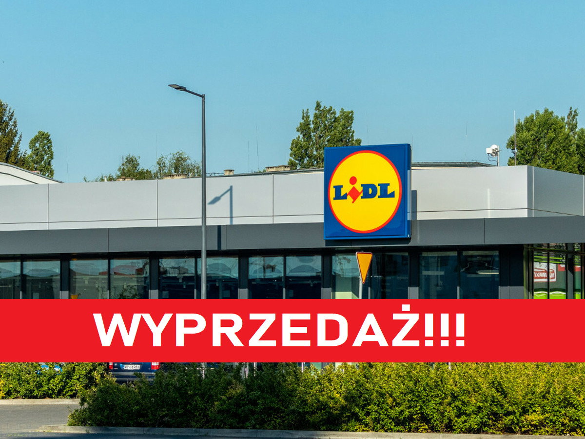 Wyprzedaż w Lidlu. Hitowy kardigan za 22 zł wygląda niema identycznie jak model Guess za 400 zł