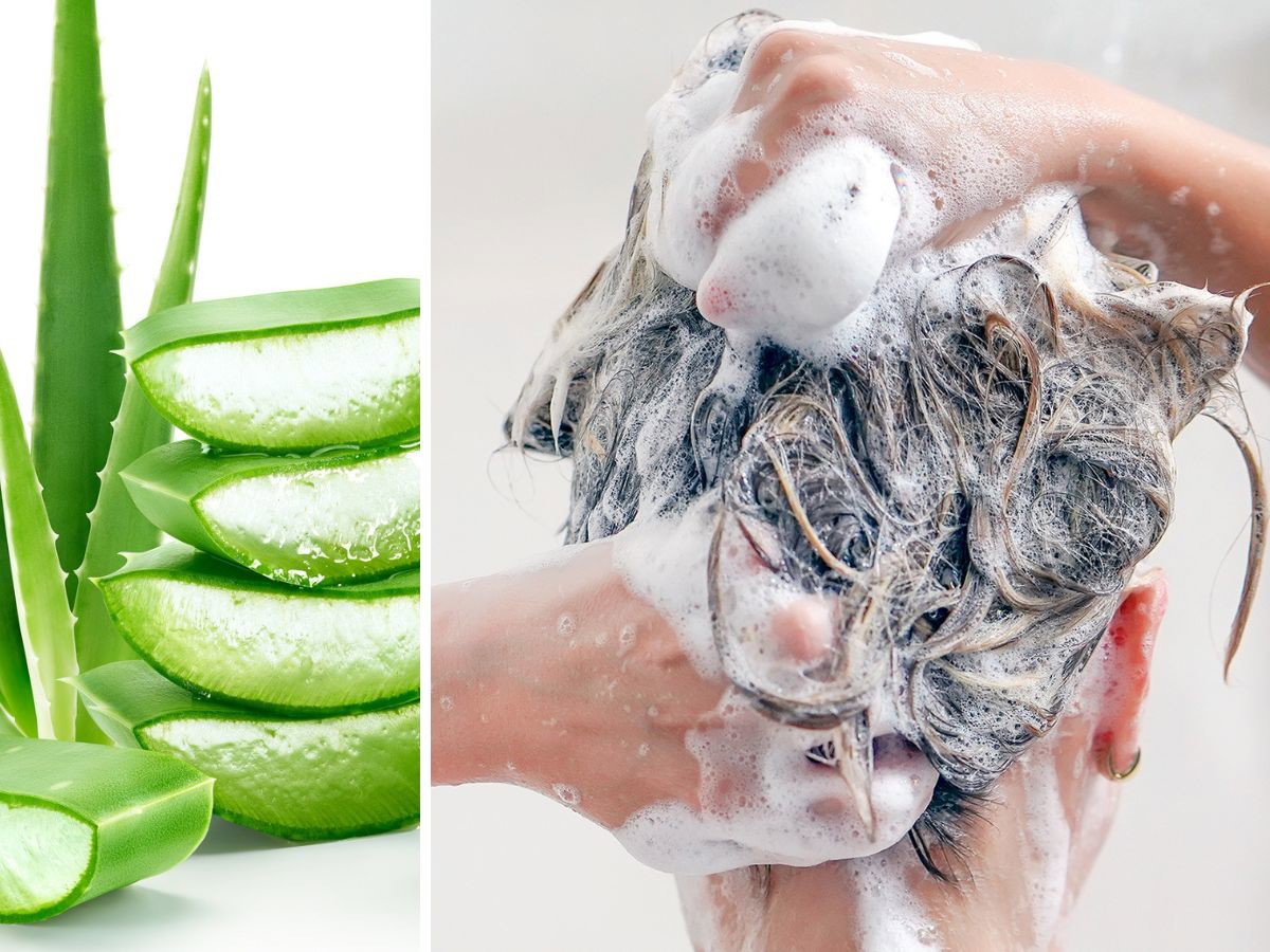 ZESTAW NA JESIEŃ - NAWILŻENIE WŁOSÓW Z ALOESEM arganicare aloe vera szampon i odżywka