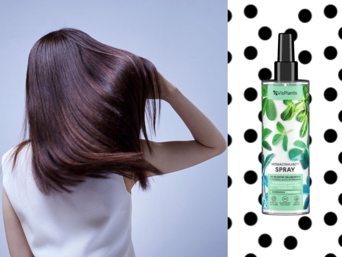 spray do włosów z ekstraktem z palmy sabałowej Vis Plantis