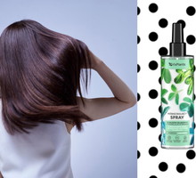 spray do włosów z ekstraktem z palmy sabałowej Vis Plantis