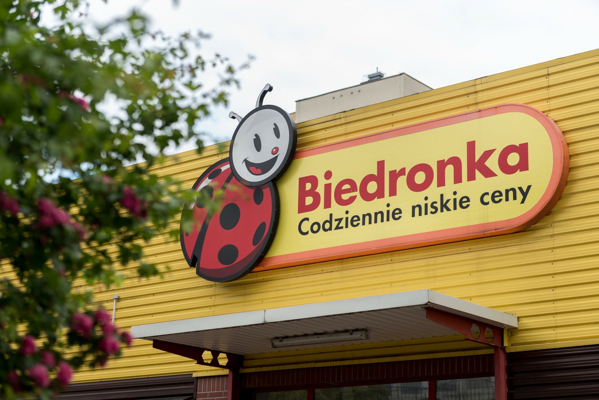 Biedronka