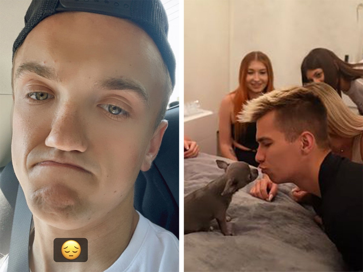 Mini Majk stracił psa