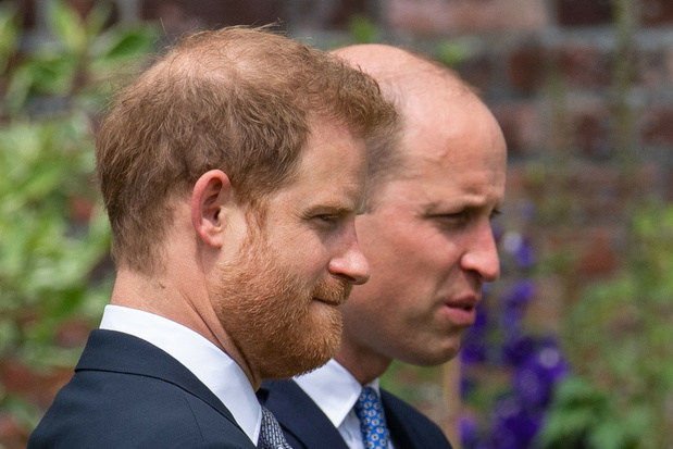 Harry i William ods?onili pomnik Diany
