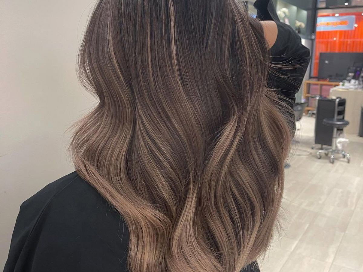 Mushroom brown
