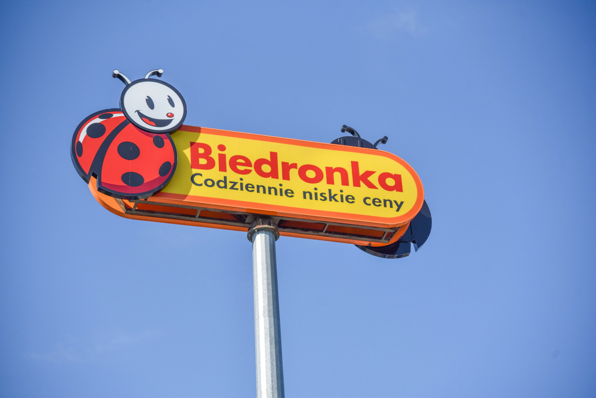 biedronka