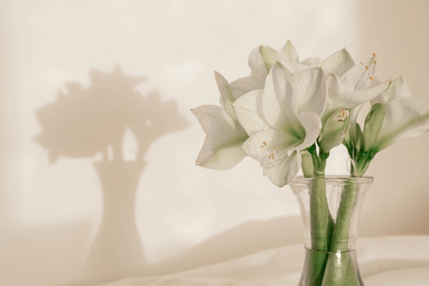 Bouquet of lilies in a glass vase in the interior of the room.