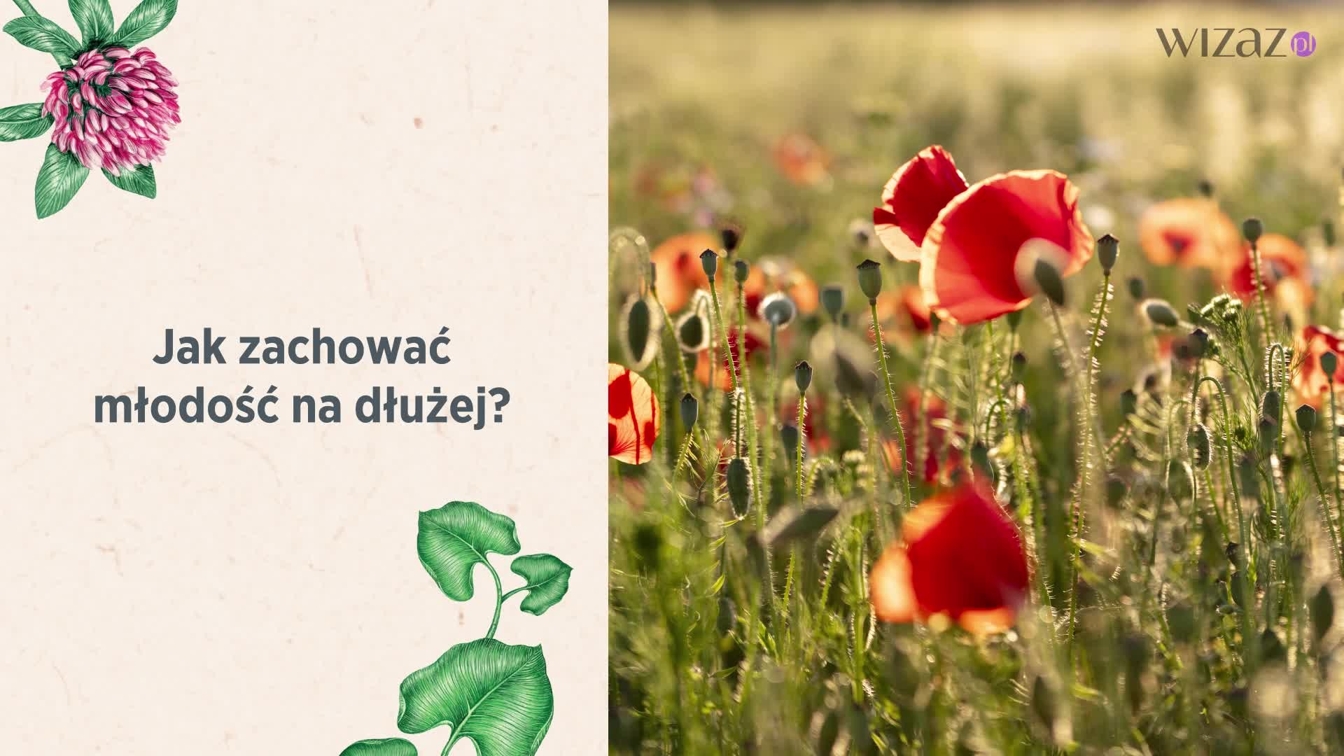 Wyniki testu - kosmetyki odmładzające Polana od „Herbapol-Lublin” S.A.