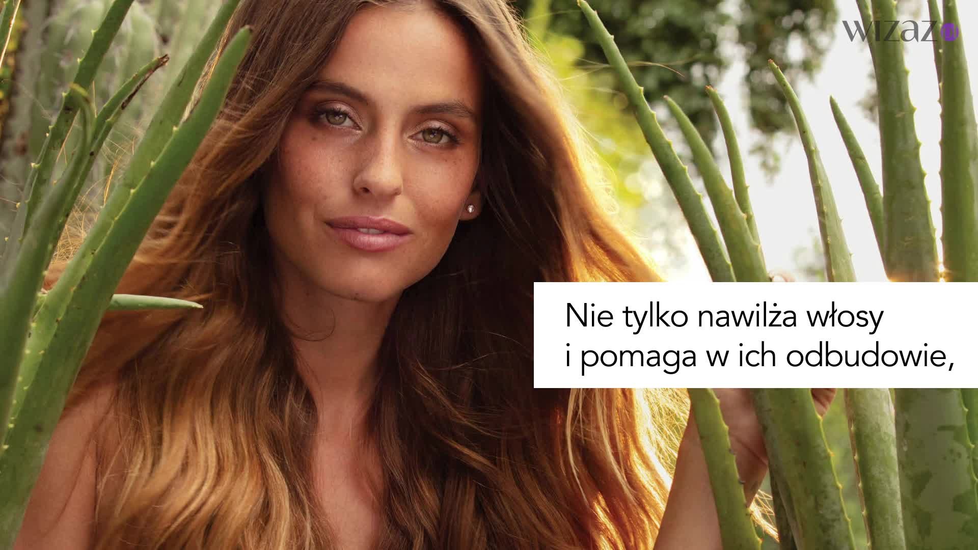 Kosmetyki do włosów Potent Aloe od Herbal Essences – wyniki testu