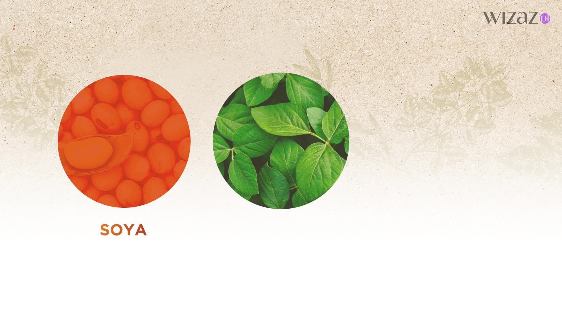 Balsamy do ciała Perfecta Planet Essence – wyniki testu