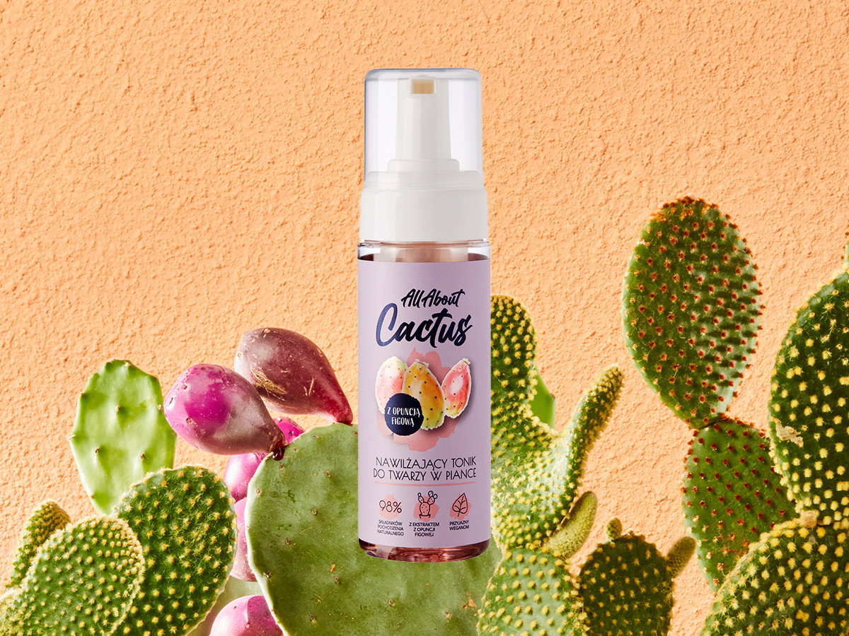 All About Cactus