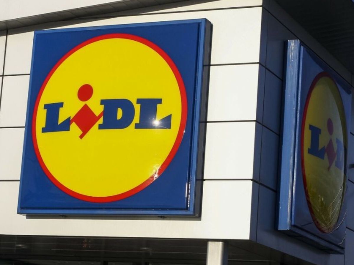 Biznesowe kuloty z kantem z Lidla