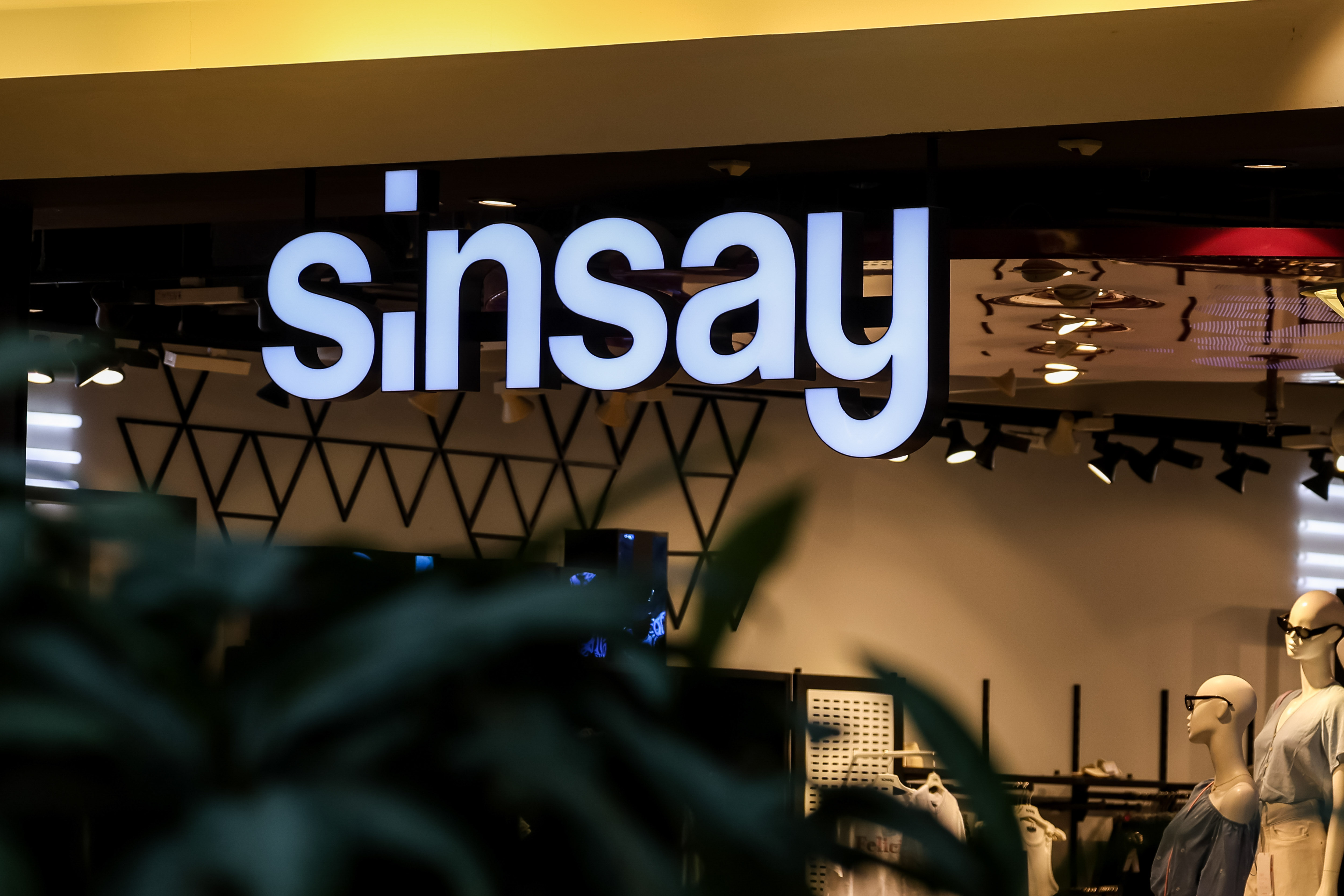 witryna sinsay