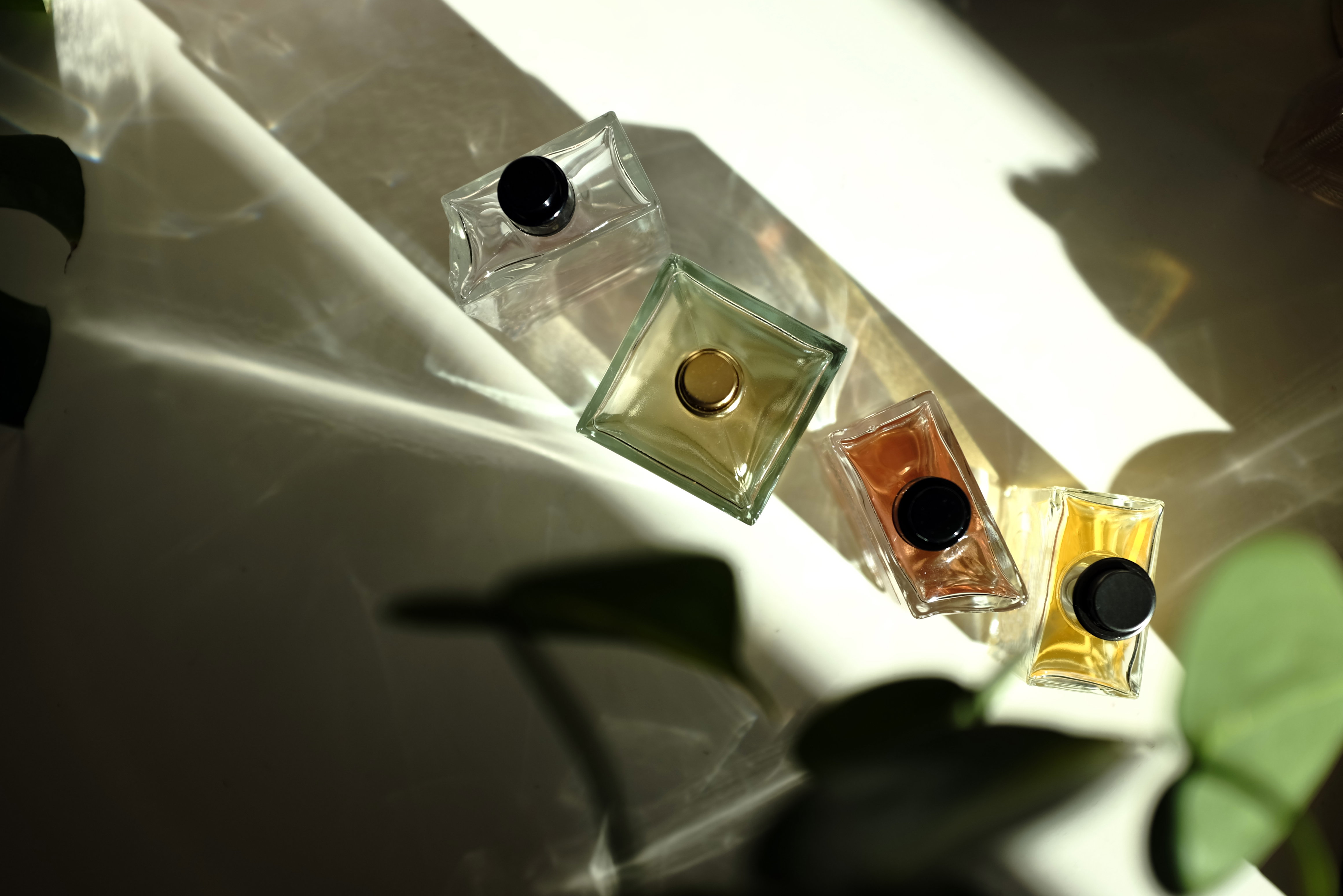 Perfumy Top of Scents