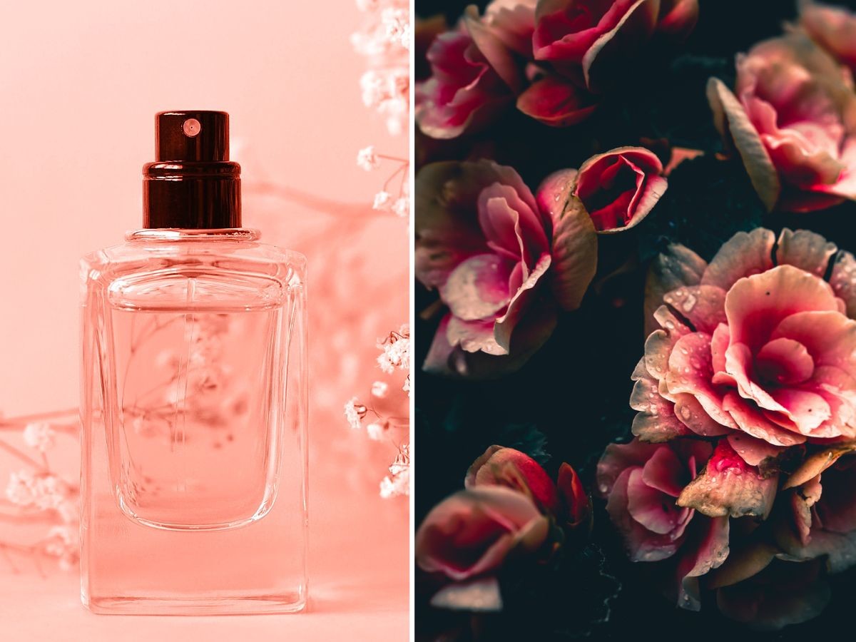 Perfumy na lato 2024