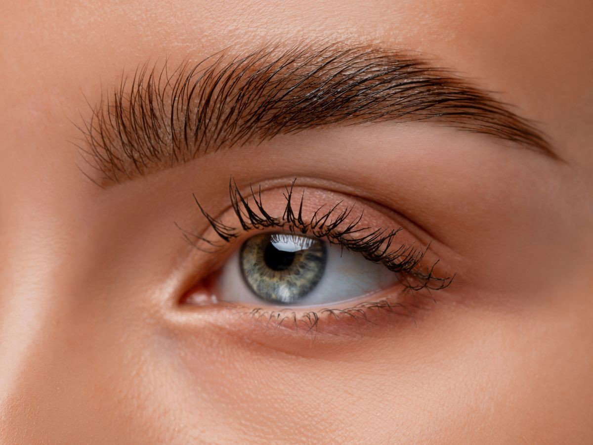 Maskara do brwi BROW&GO Eveline