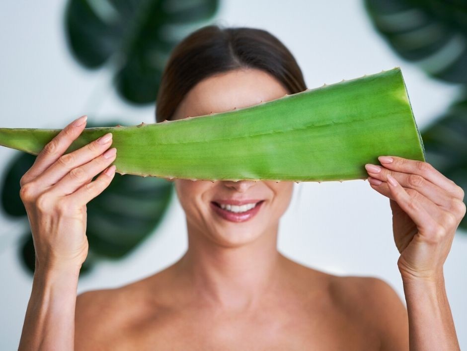 aloes na włosy