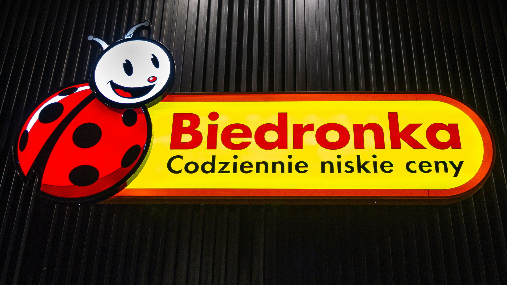 Biedronka - promocja na podkład i krem BB