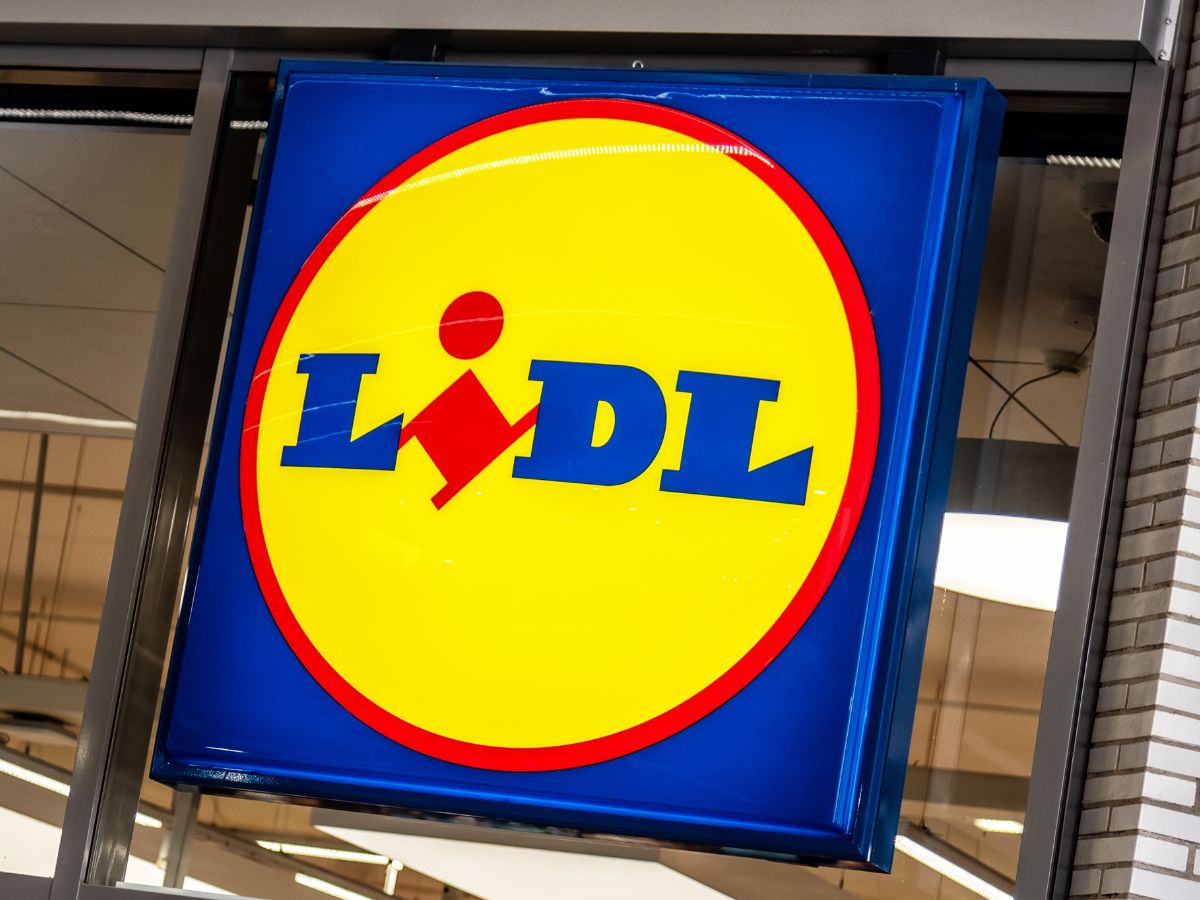 Żakiet damski w stylu "old money" z Lidla