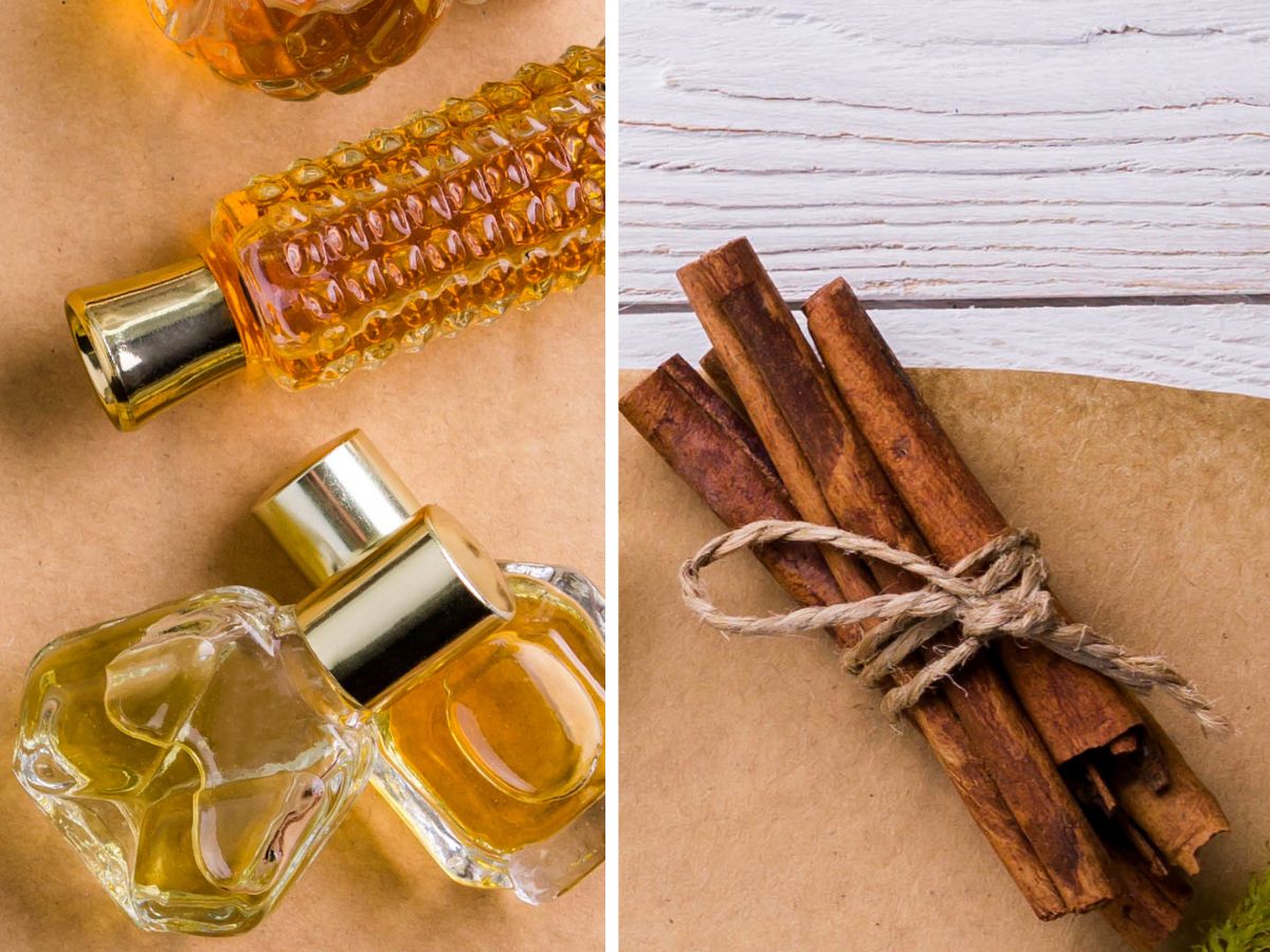perfumy cynamonowe (5)