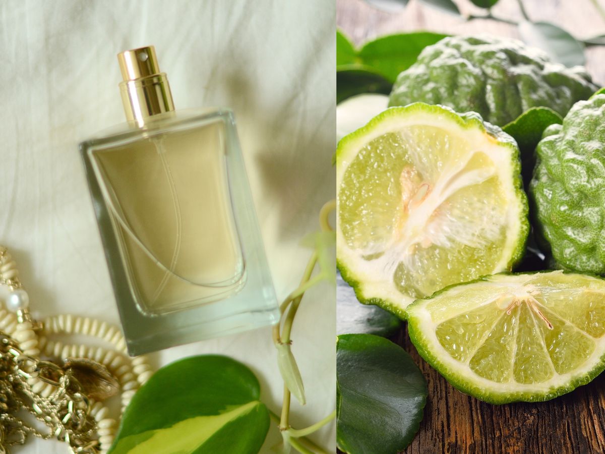 perfumy z bergamotką