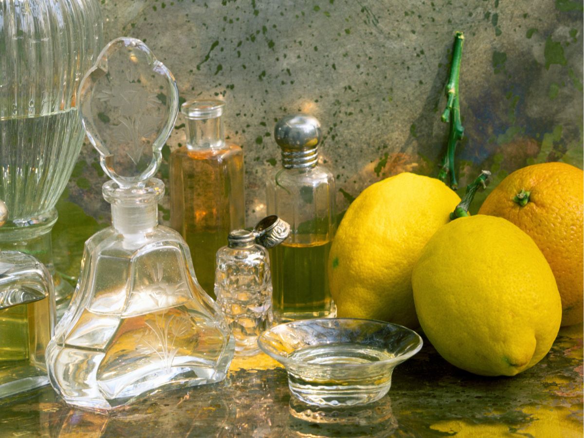 perfumy cytrusowe