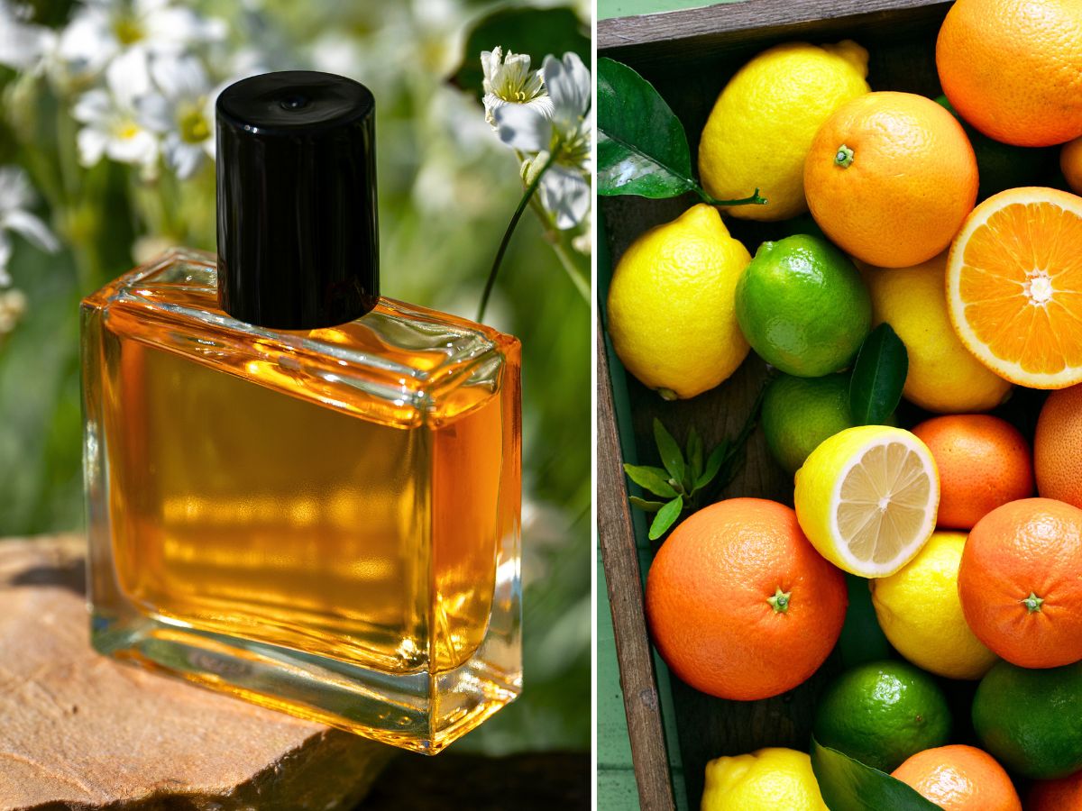 cytrusowe perfumy damskie