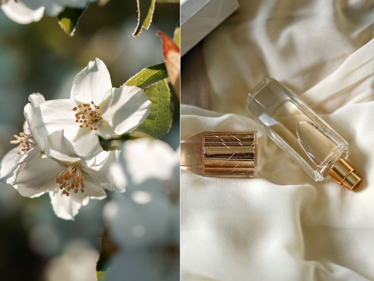 Jaśminowe perfumy
