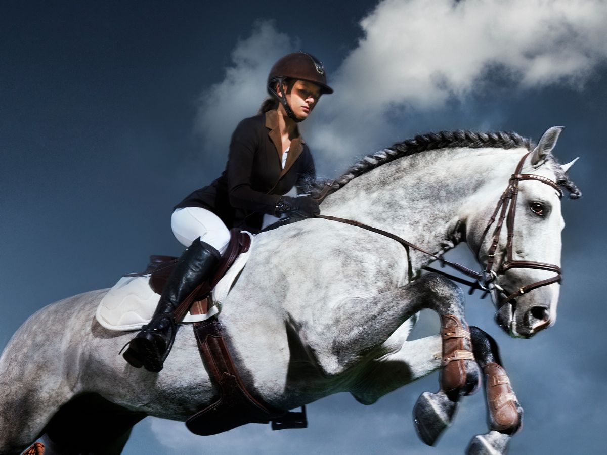 horse girl aesthetic