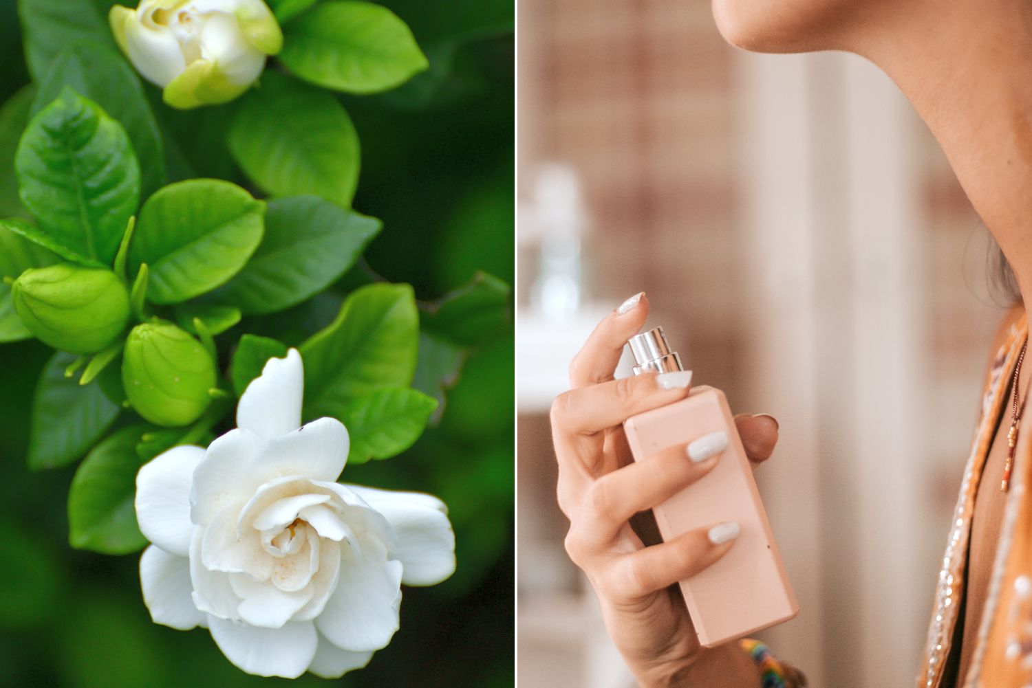 perfumy pachnące gardenią