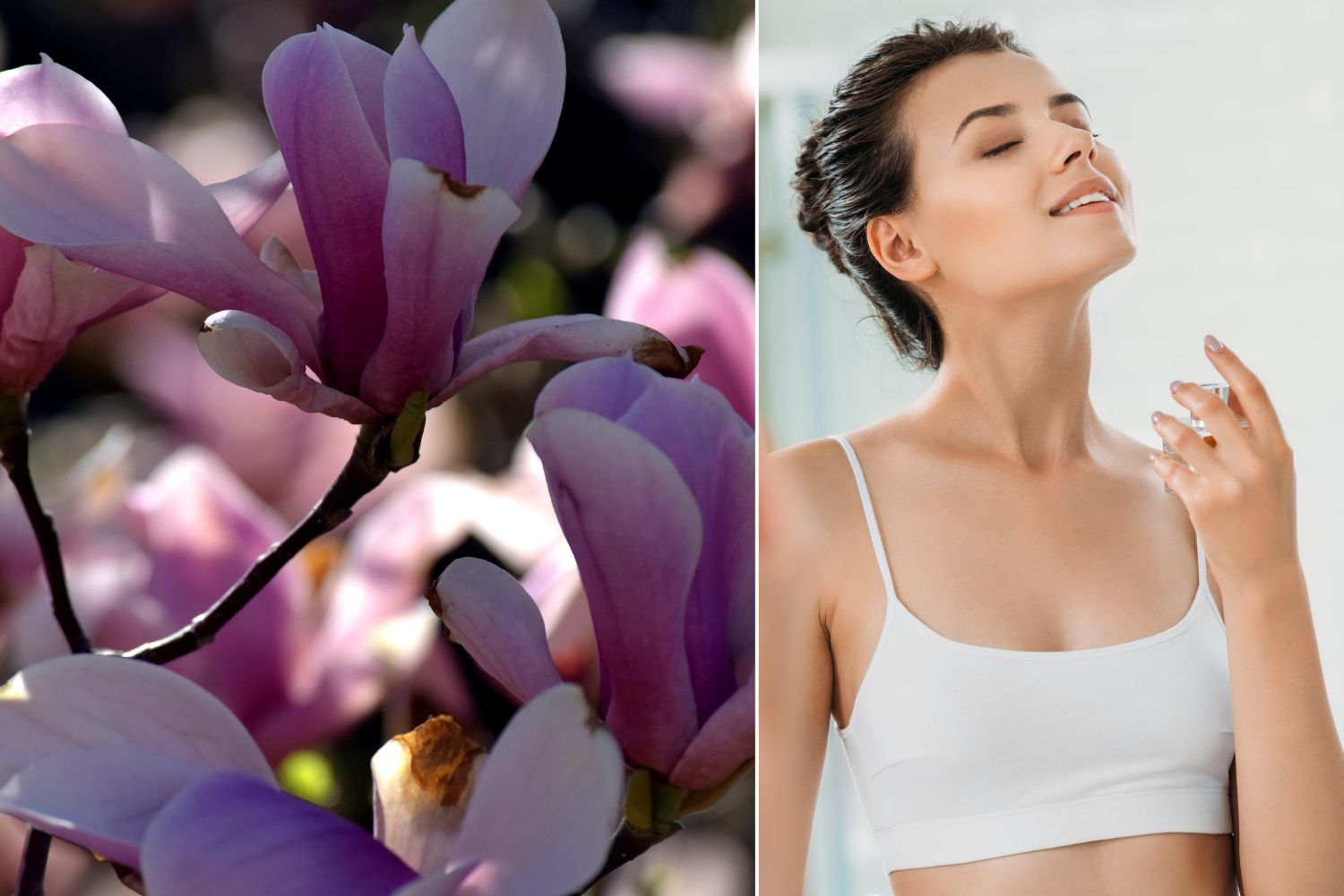 perfumy o zapachu magnolii