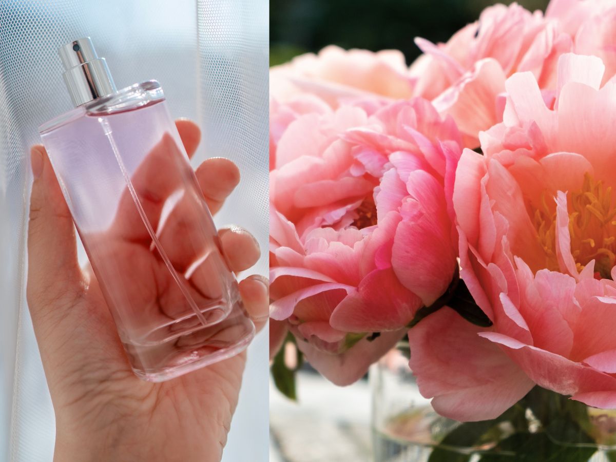 perfumy z piwonią