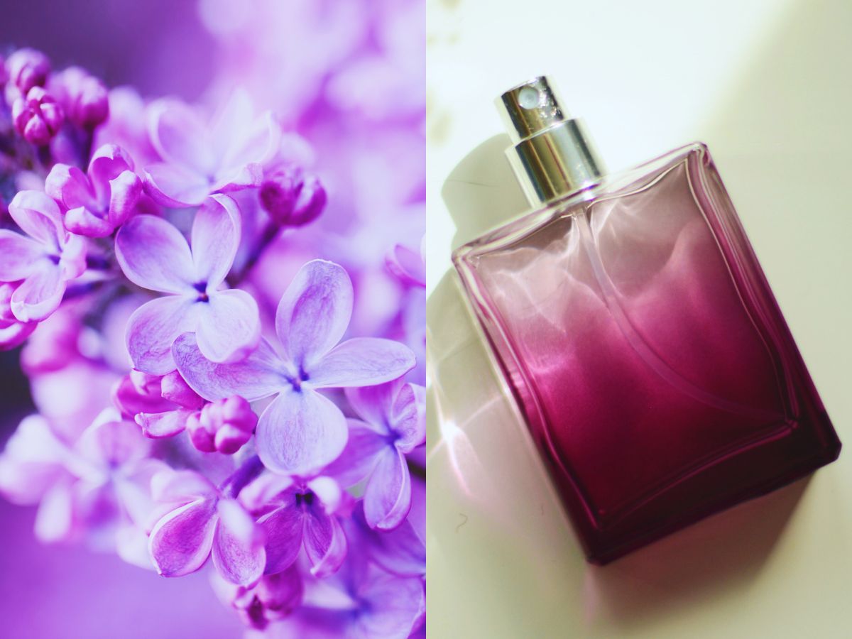 Perfumy o zapachu bzu