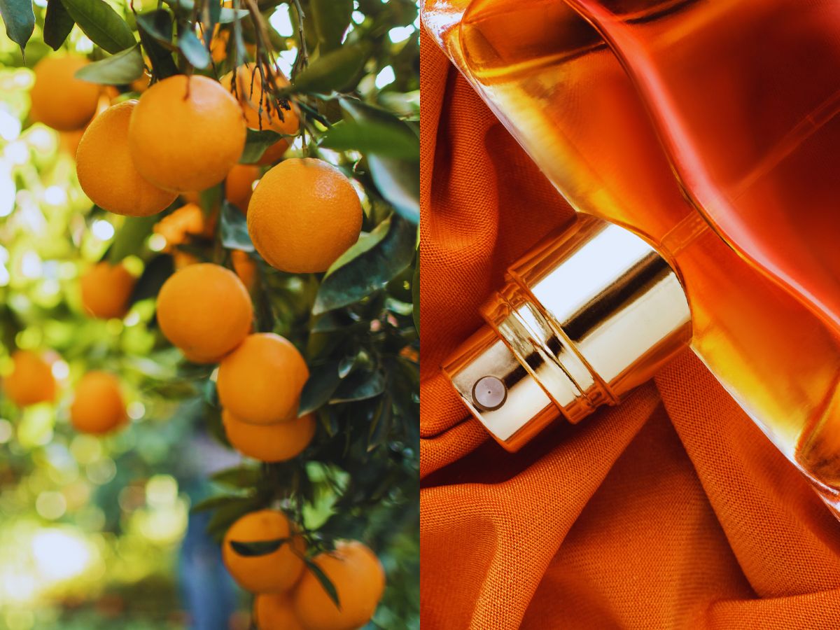 Perfumy z pomarańczą