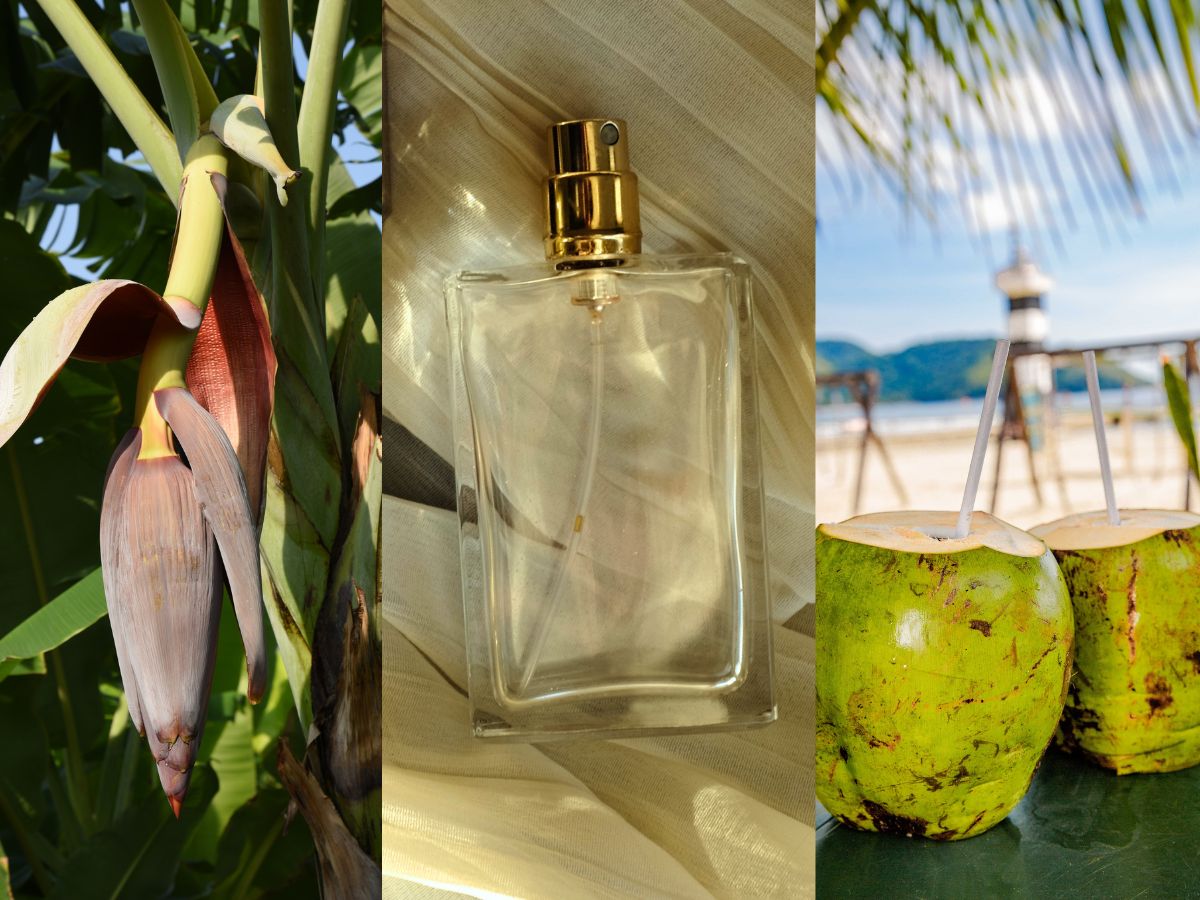 bananowe perfumy