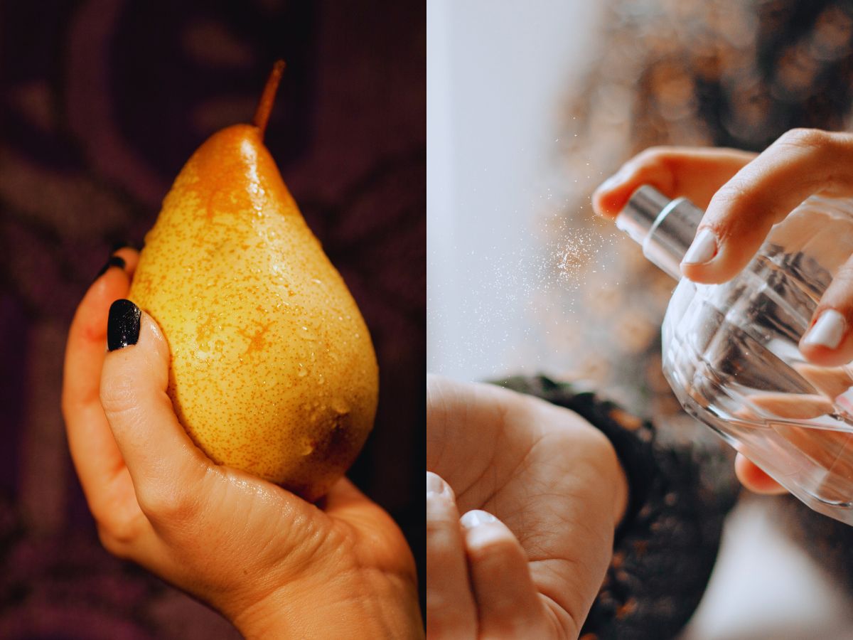 Perfumy z soczystą gruszką