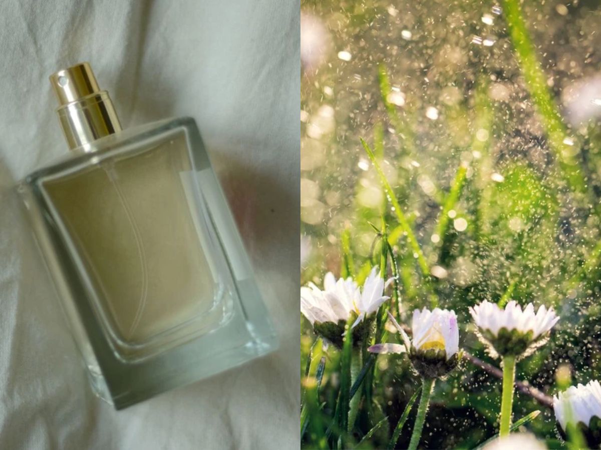 Świeże perfumy