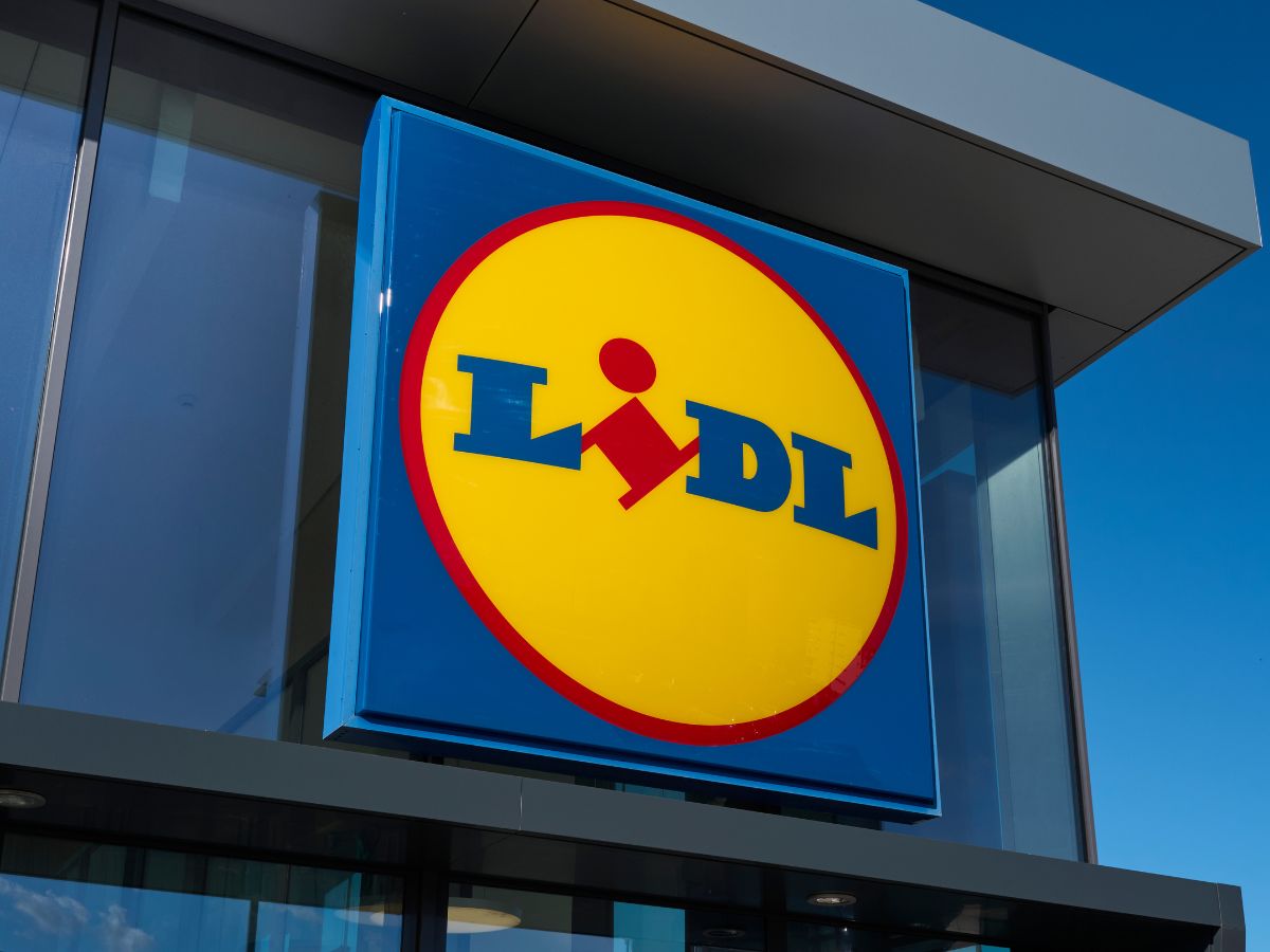 szorty modelujące z Lidla