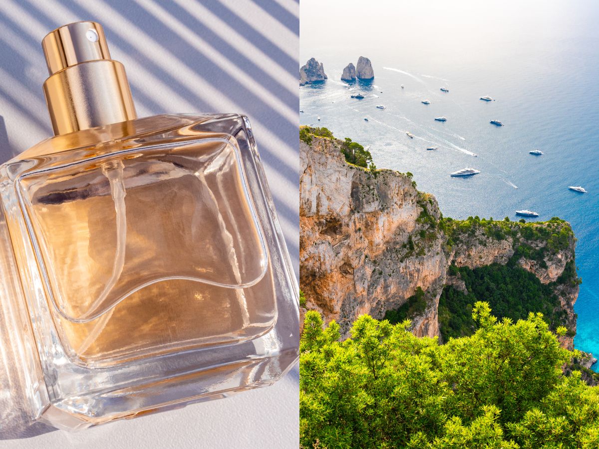 promienne perfumy