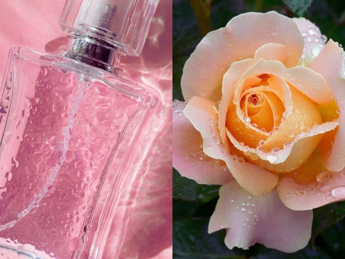 Perfumy o zapachu rosy