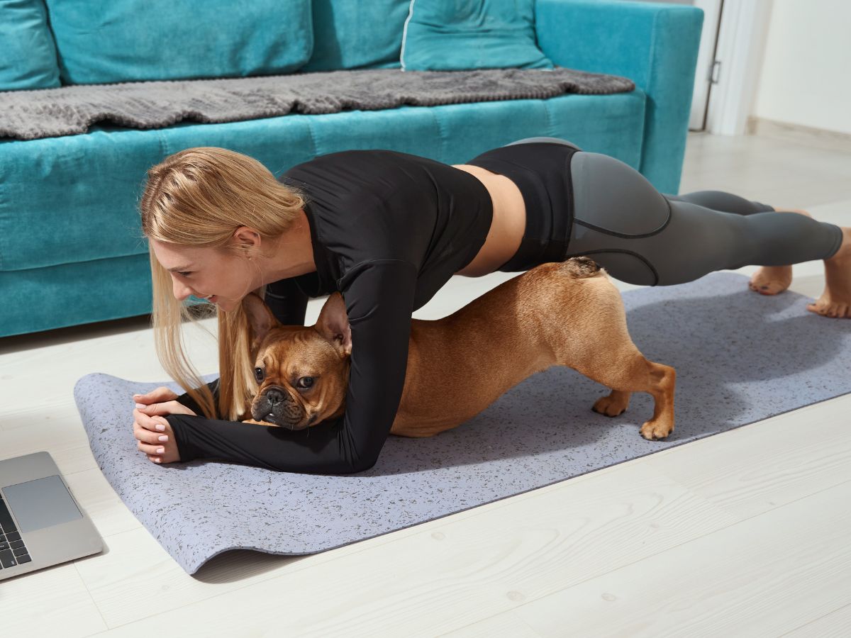 plank efekty (1)