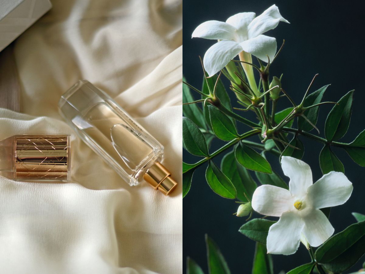Jaśminowe perfumy