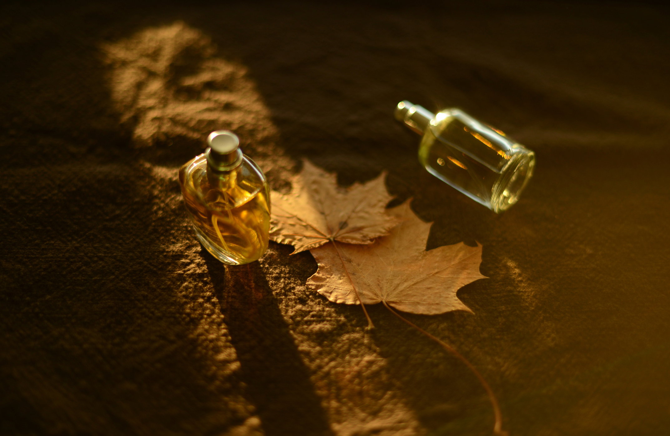 Najpiękniejsze perfumy cedrowe na jesień 2025