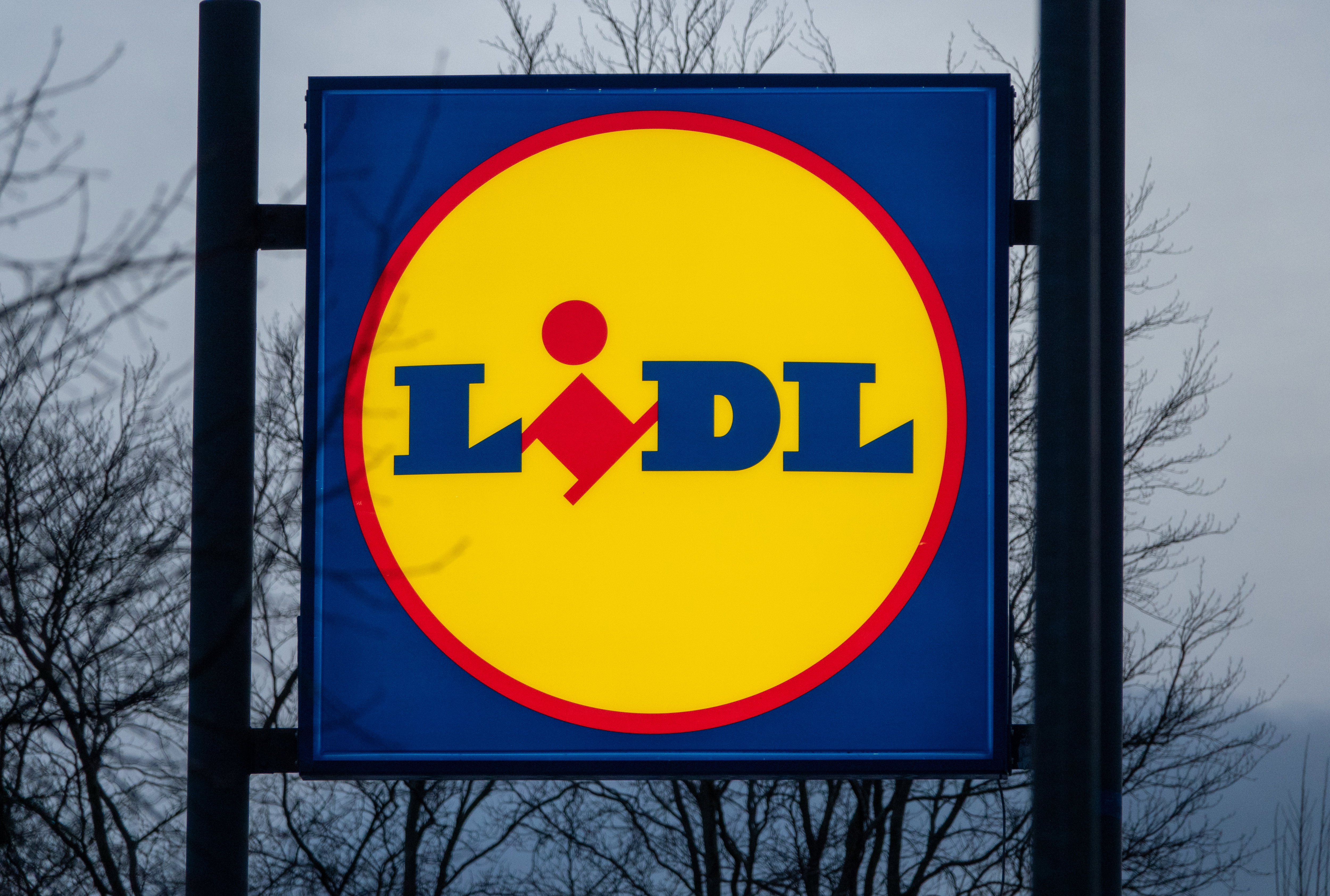 wyprzedaż w Lidlu