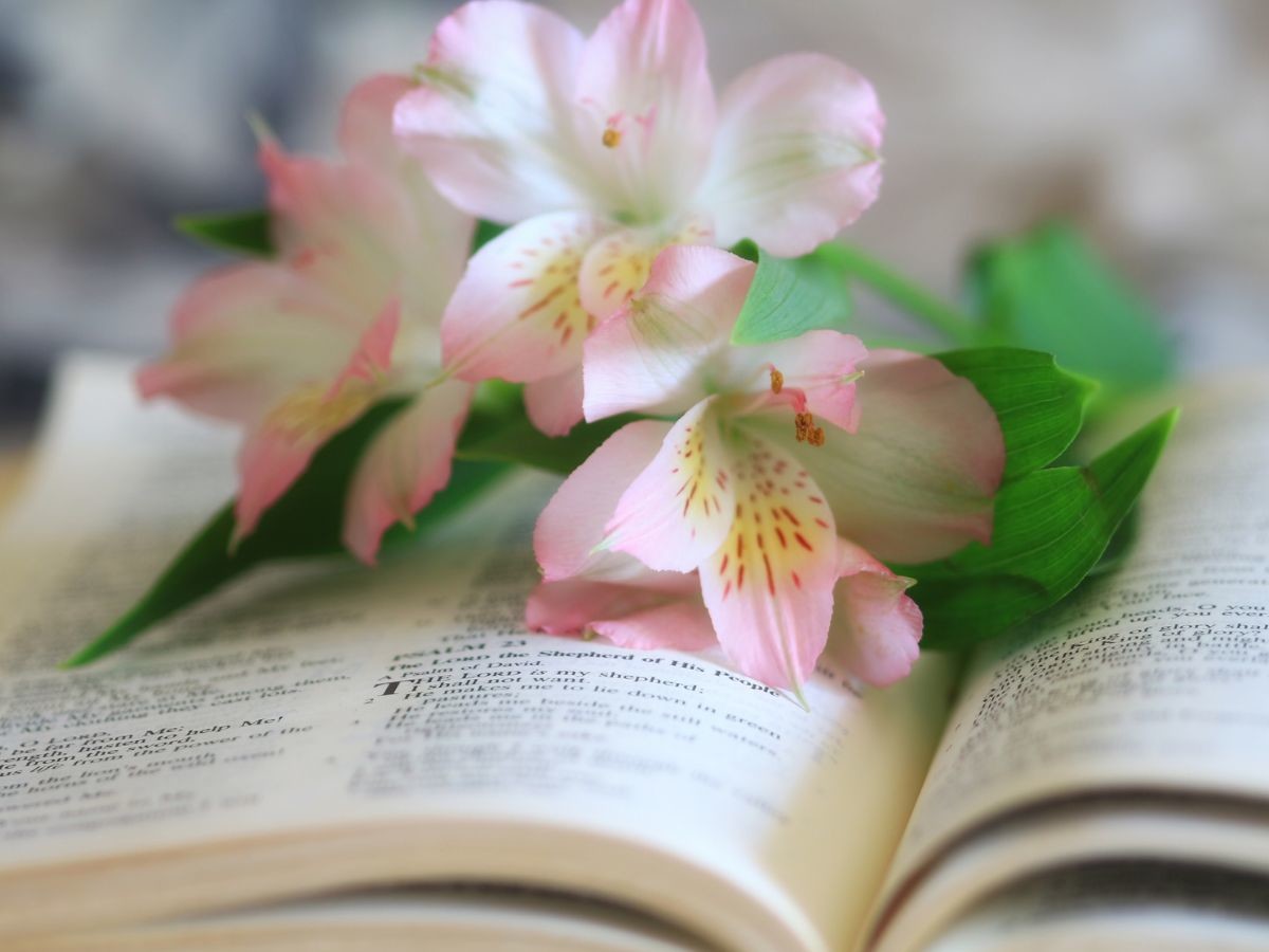 Psalm na ślub