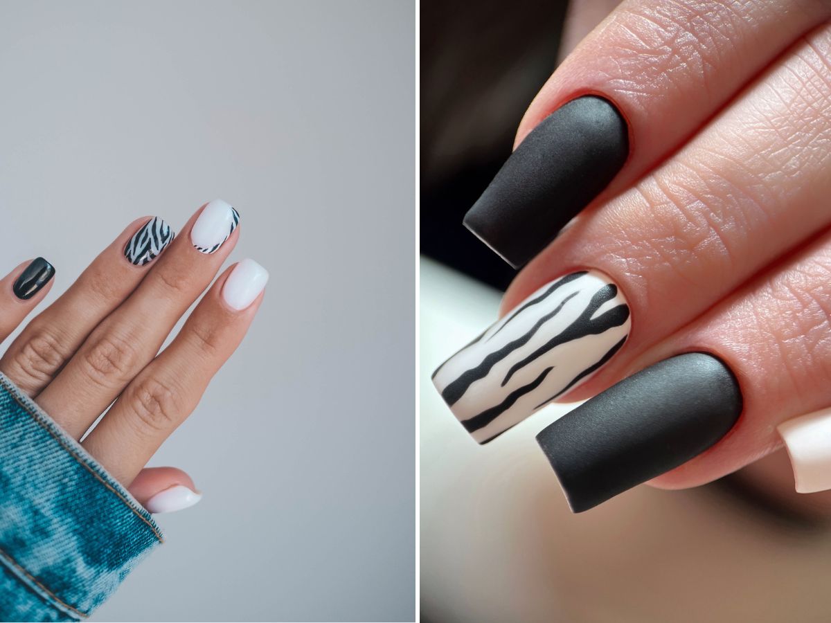 paznokcie zebra