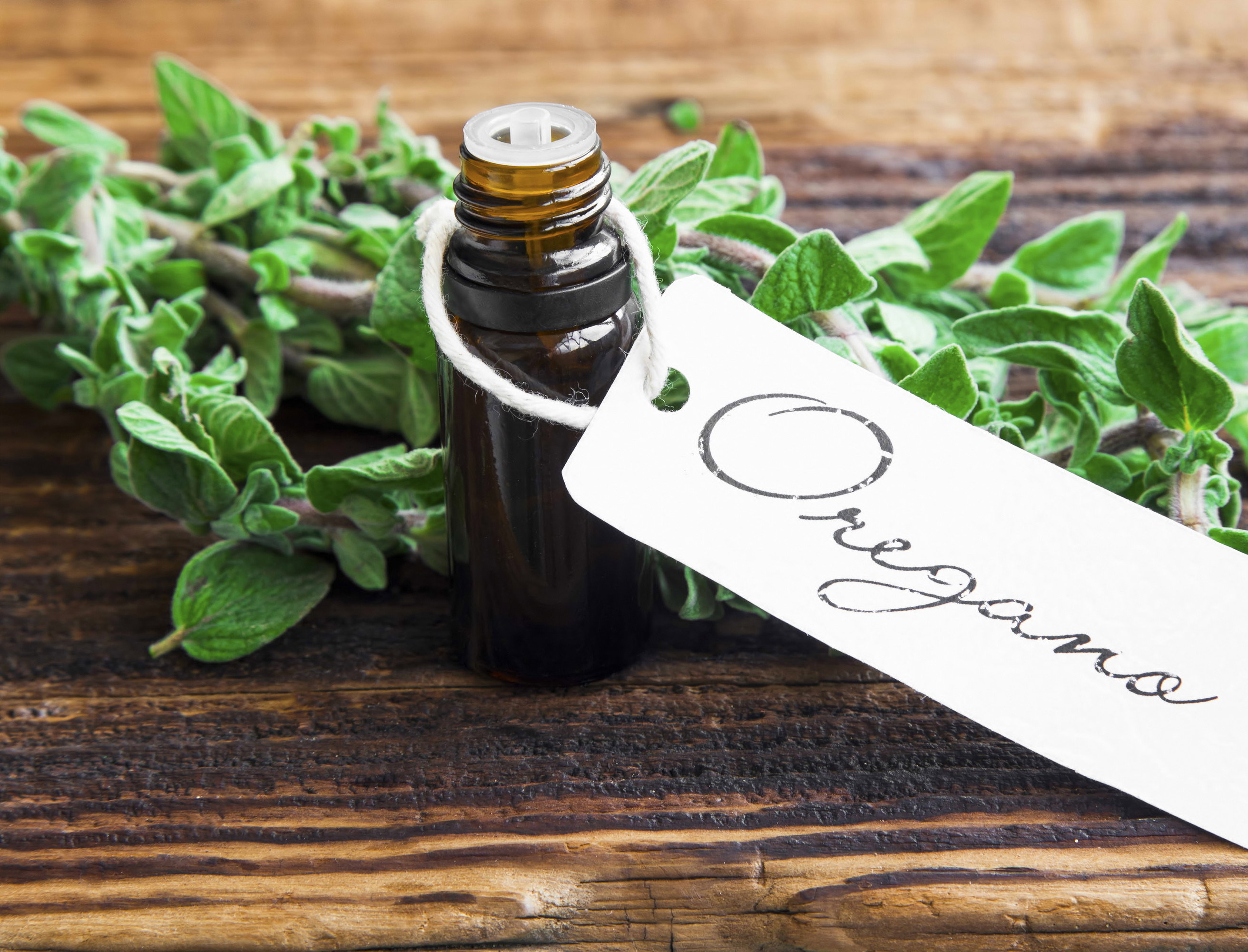 olejek z oregano