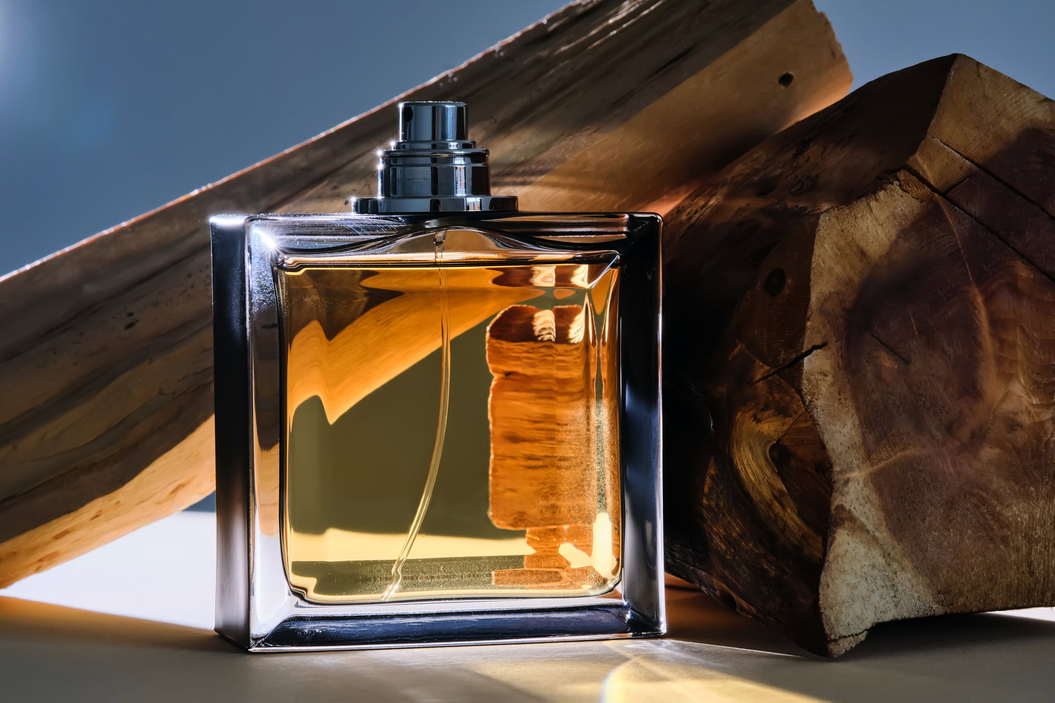 perfumy fougere